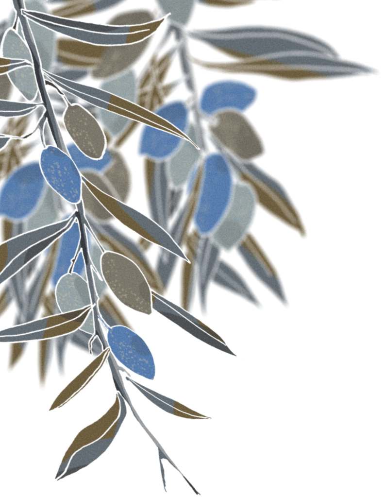 handdrawn olives frame